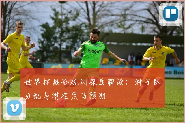 世界杯抽签规则深度解读：种子队分配与潜在黑马预测